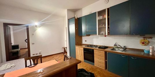 Appartamento in affitto in Viale Bligny