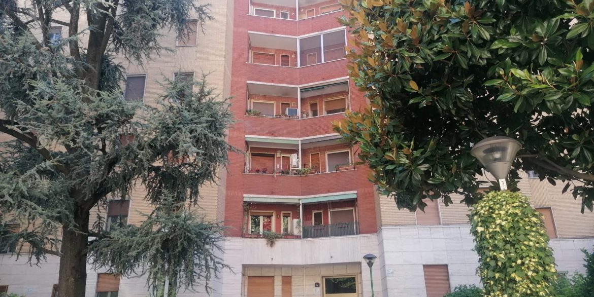 13205c84-c8dc-4530-a1a0-ee63ad06b981