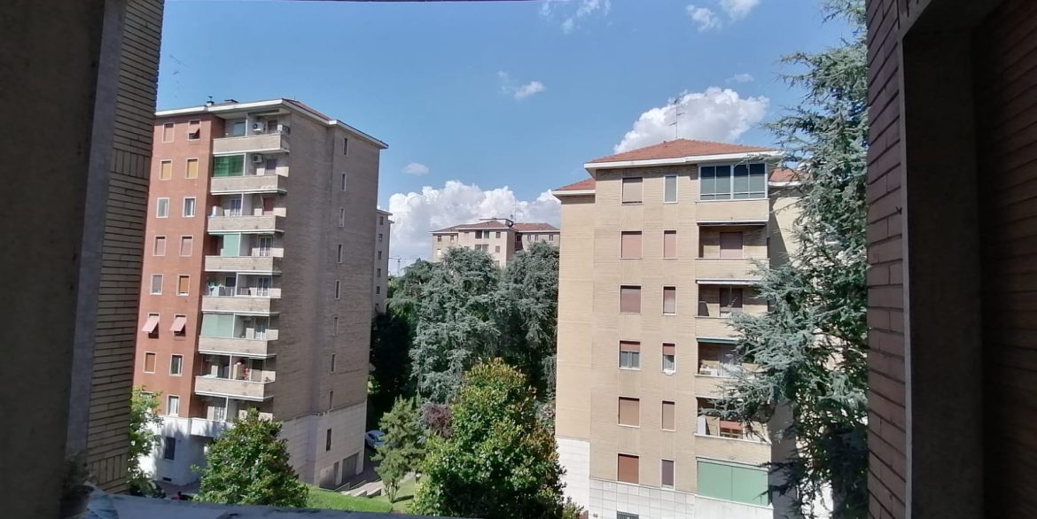 52e25ba1-5ba0-49a7-8693-ea115f993217