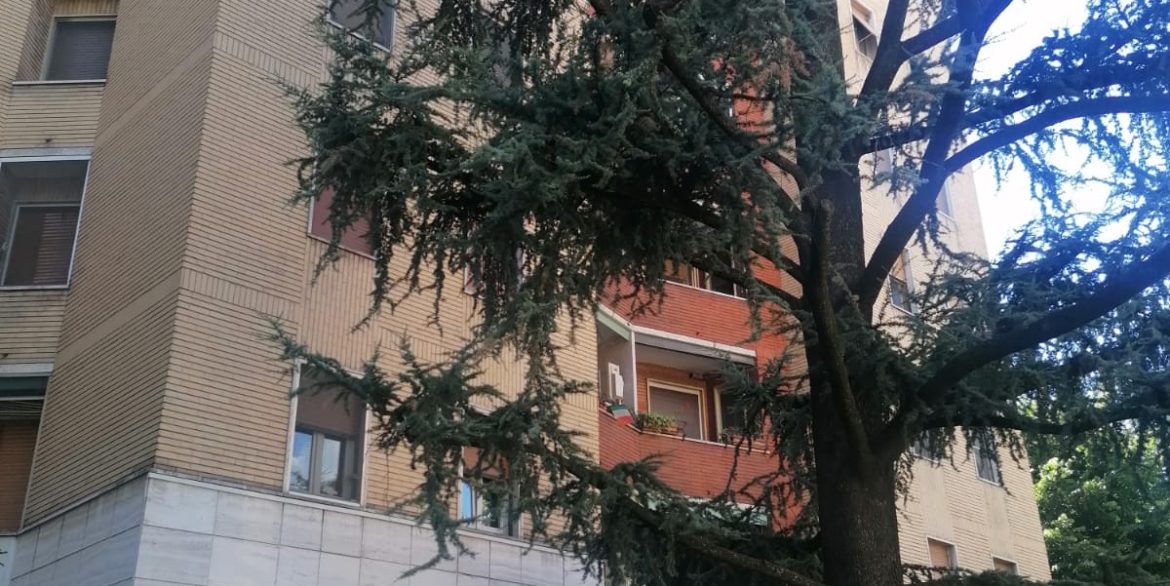 c3d90947-9101-4577-83bf-40dfc2ad49dc