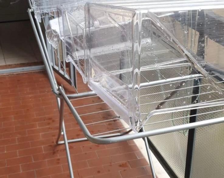 8ecd8fac-f0b6-4a50-ad73-a1bc2fc4b377