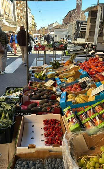 9cecfa5b-b736-4f56-ae53-d905eec98339