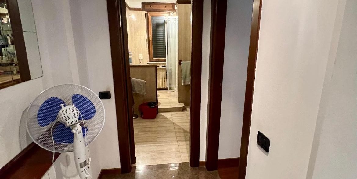 WhatsApp Image 2026-02-05 at 15.54.05