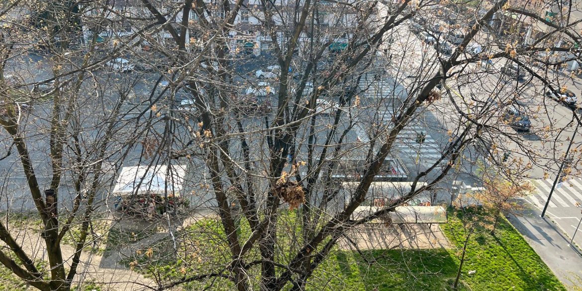 WhatsApp Image 2026-03-27 at 11.47.05 (6)