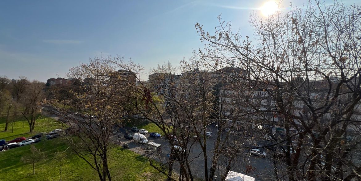 WhatsApp Image 2026-03-27 at 11.47.05 (8)