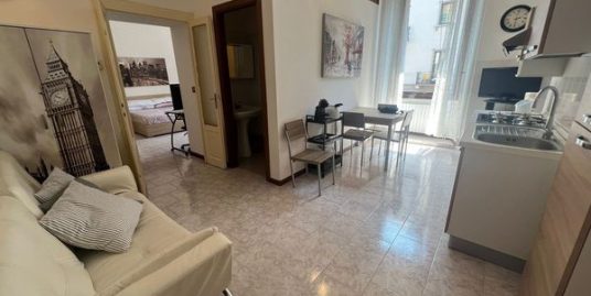 Appartamento in affitto in Viale Bligny